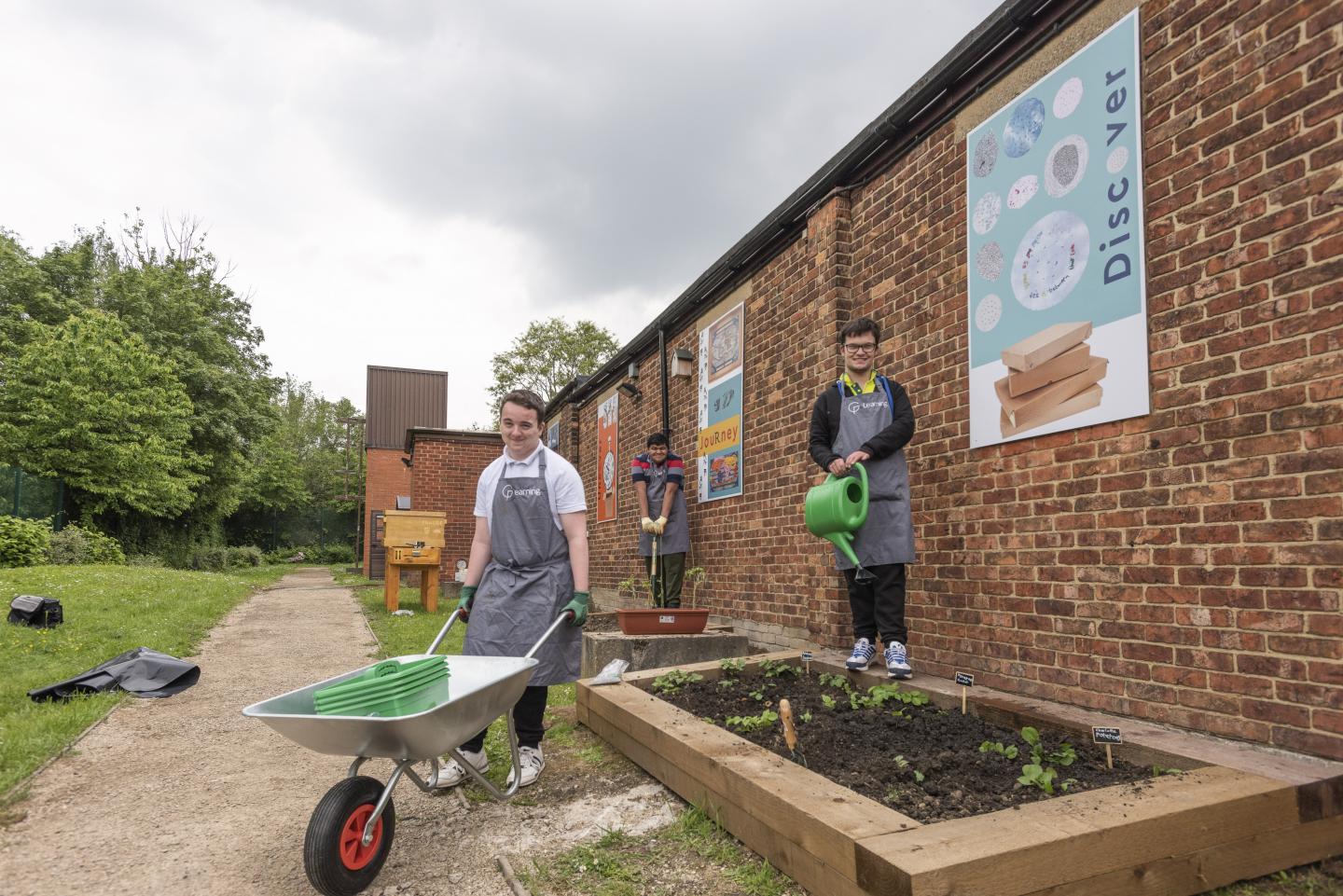 volunteers in the garden